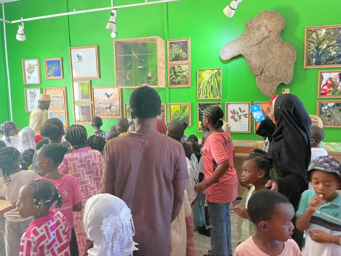 Journée internationale des musées 2026 I La biodiversité comorienne au…